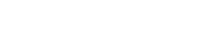 UirtusIT
